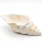 Blanca / Dorada