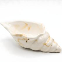 Recipiente Aura - Blanca / Dorada